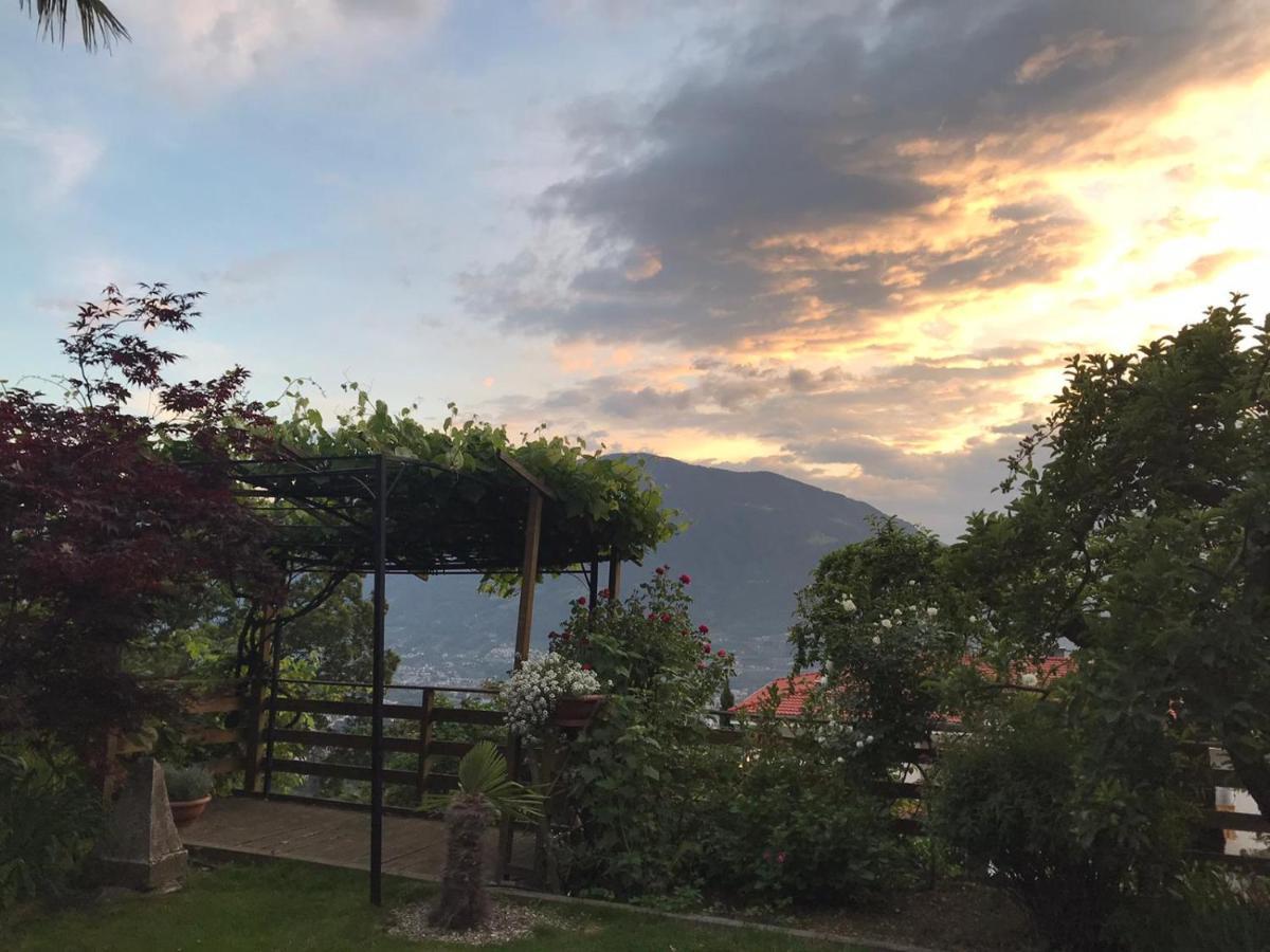 Gasthof Andy 3*