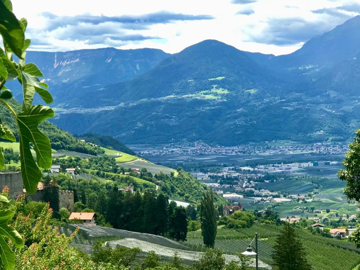 Gasthof Andy